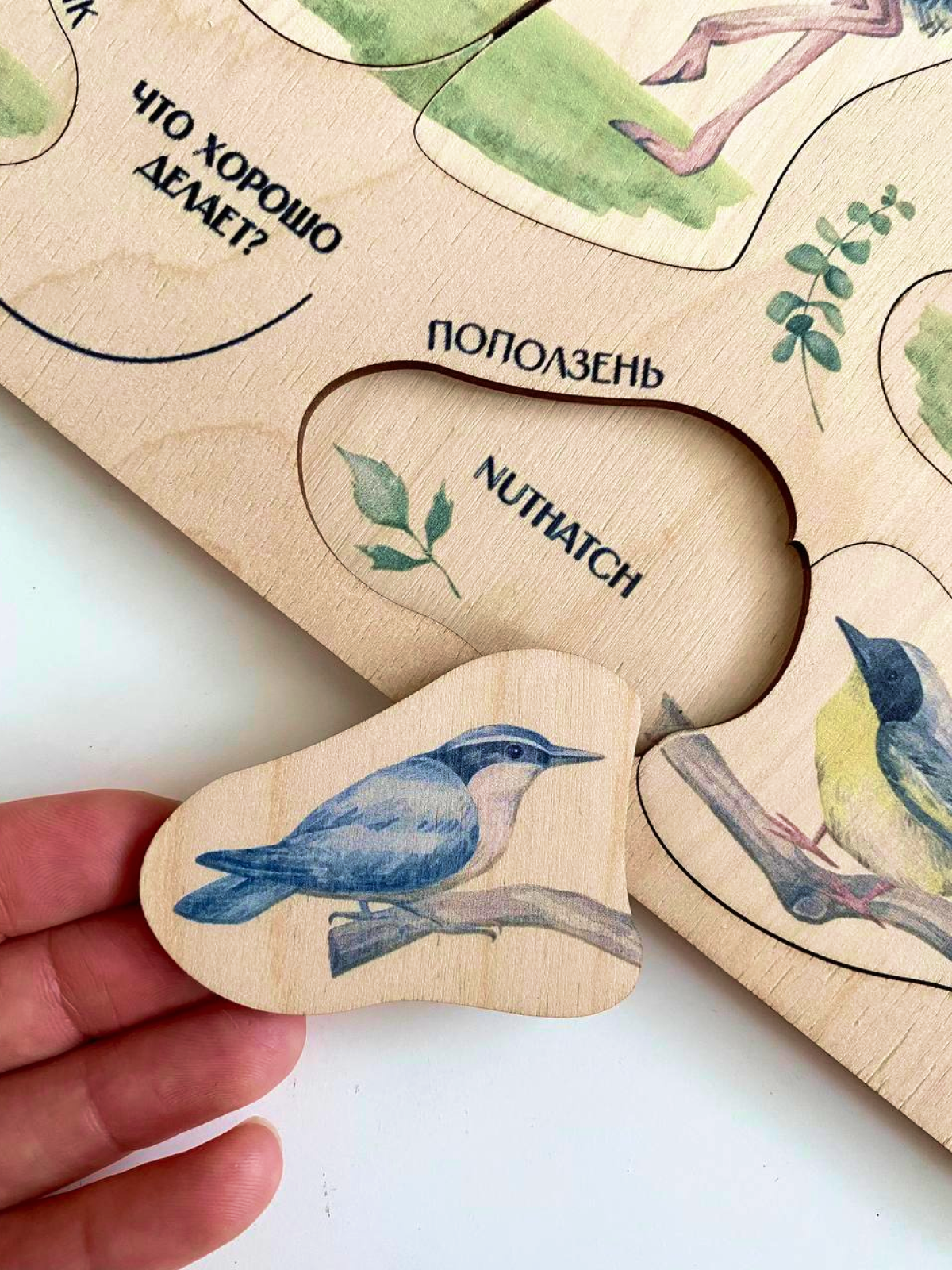 картинка Познавательный пазл «Мир экзотических птиц» от магазина JOUJOU