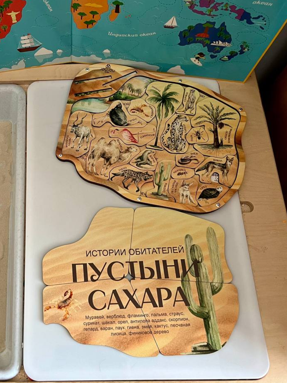 картинка Познавательный многоуровневый пазл "Истории обитателей Пустыни Сахара" от магазина Одежда+