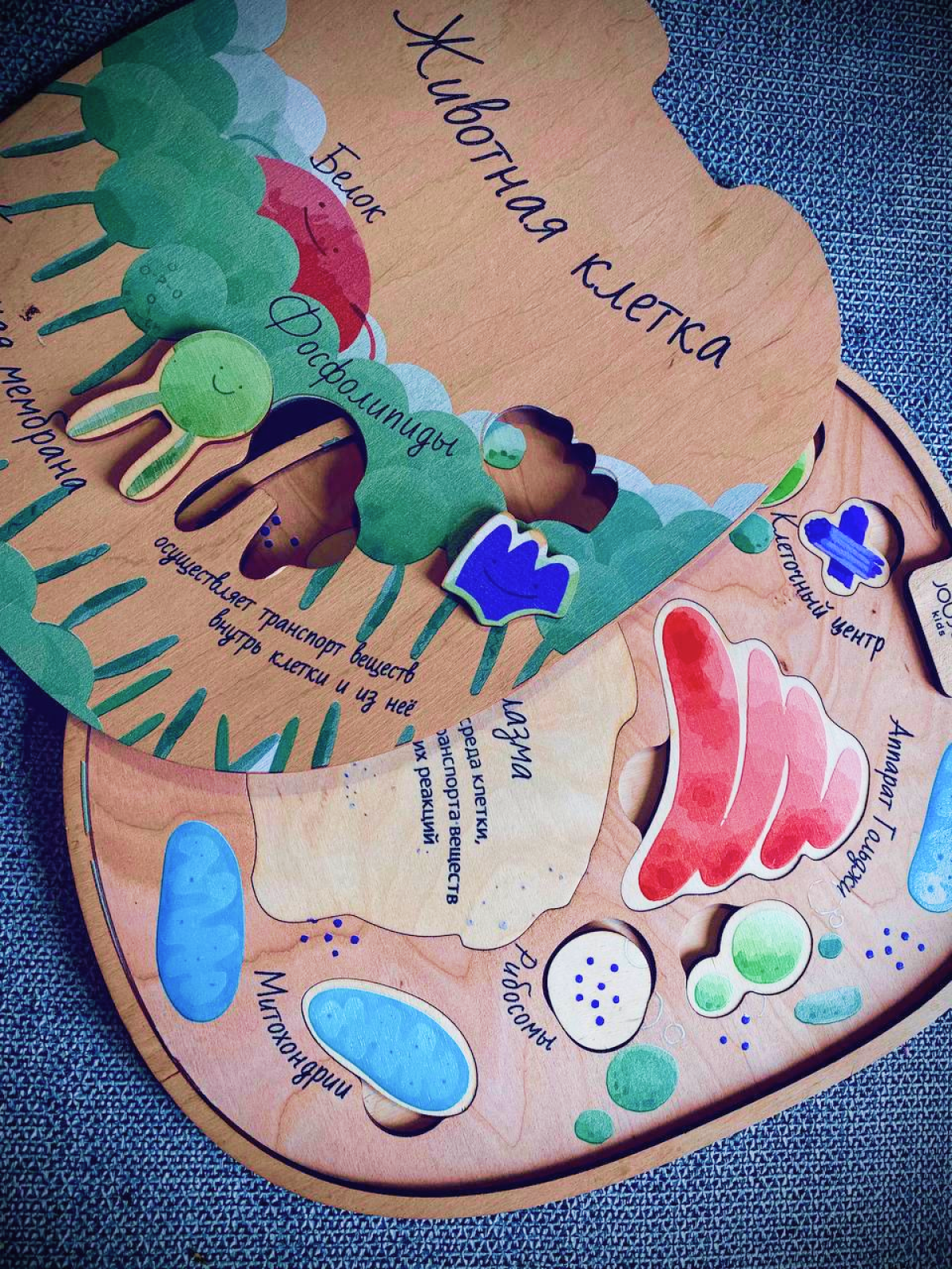картинка Многоуровневый пазл "Животная клетка" от магазина JOUJOU