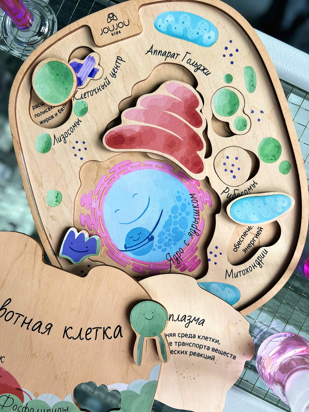 картинка Многоуровневый пазл "Животная клетка" от магазина JOUJOU