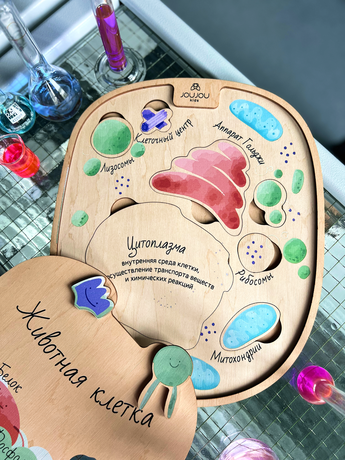 картинка Многоуровневый пазл "Животная клетка" от магазина JOUJOU
