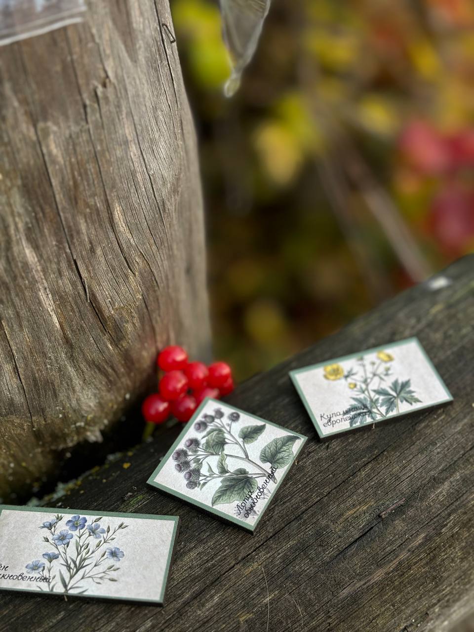 картинка Коллекционный дидактический пазл «Цветы и строки» от магазина JOUJOU