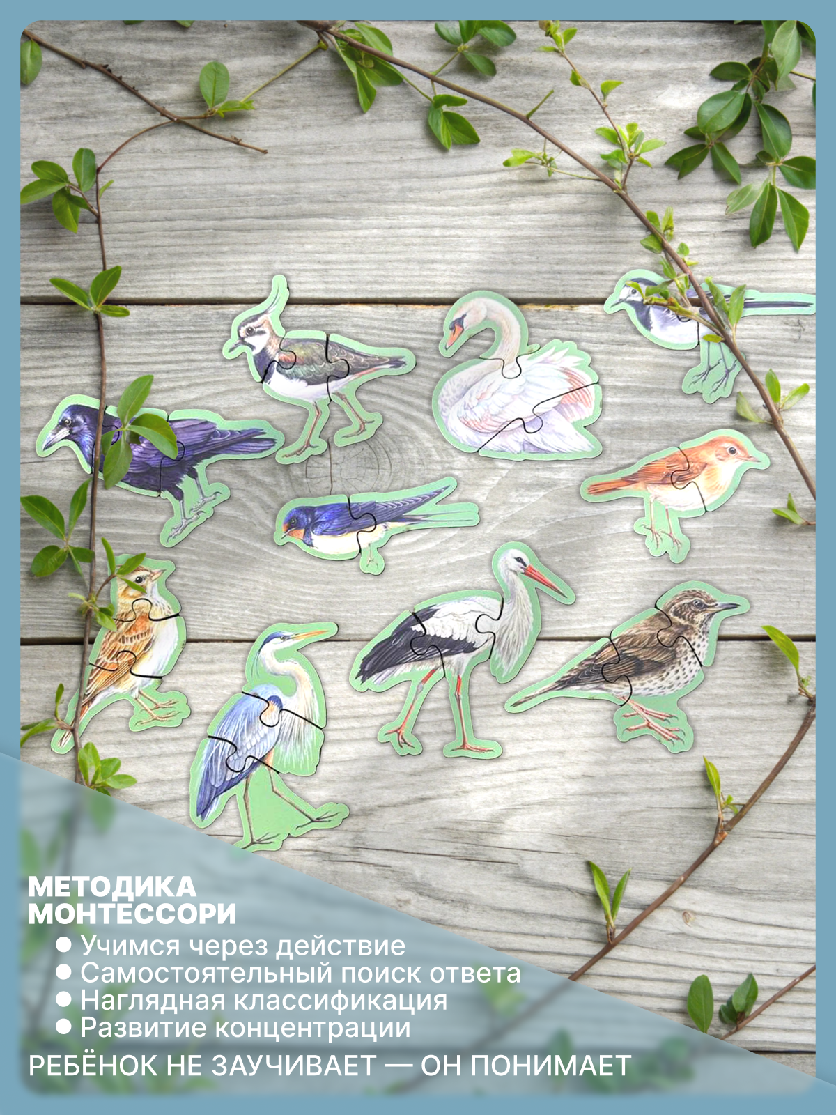 картинка Авторская игра по методике монтессори «Зимующие и перелетные птицы» от магазина JOUJOU