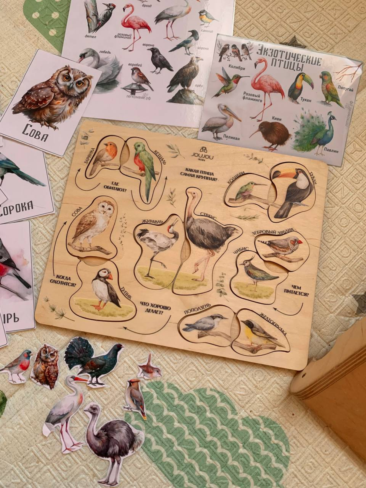 картинка Познавательный пазл «Мир экзотических птиц» от магазина JOUJOU