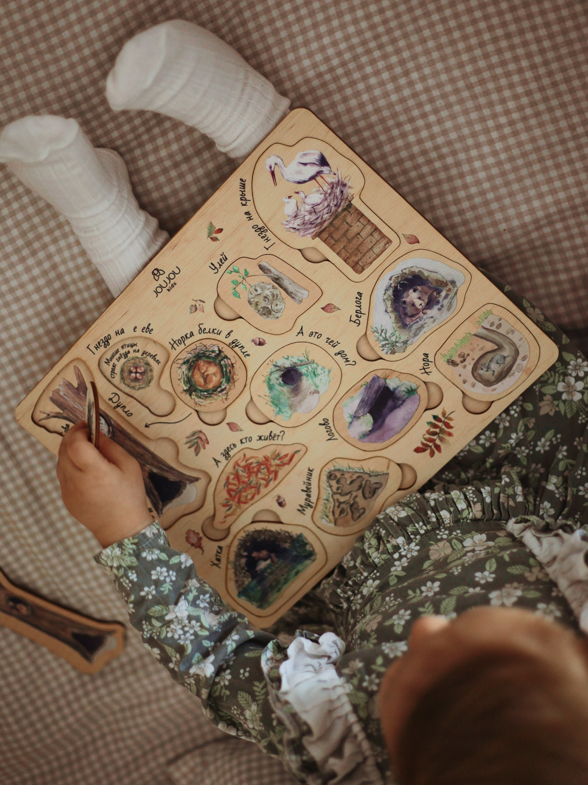 картинка Дидактическая игра "Норки: Где чей домик?" от магазина JOUJOU