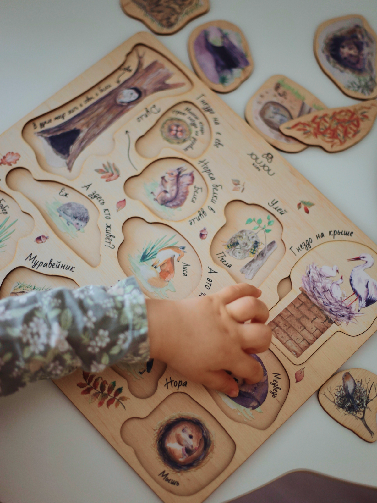 картинка Дидактическая игра "Норки: Где чей домик?" от магазина JOUJOU