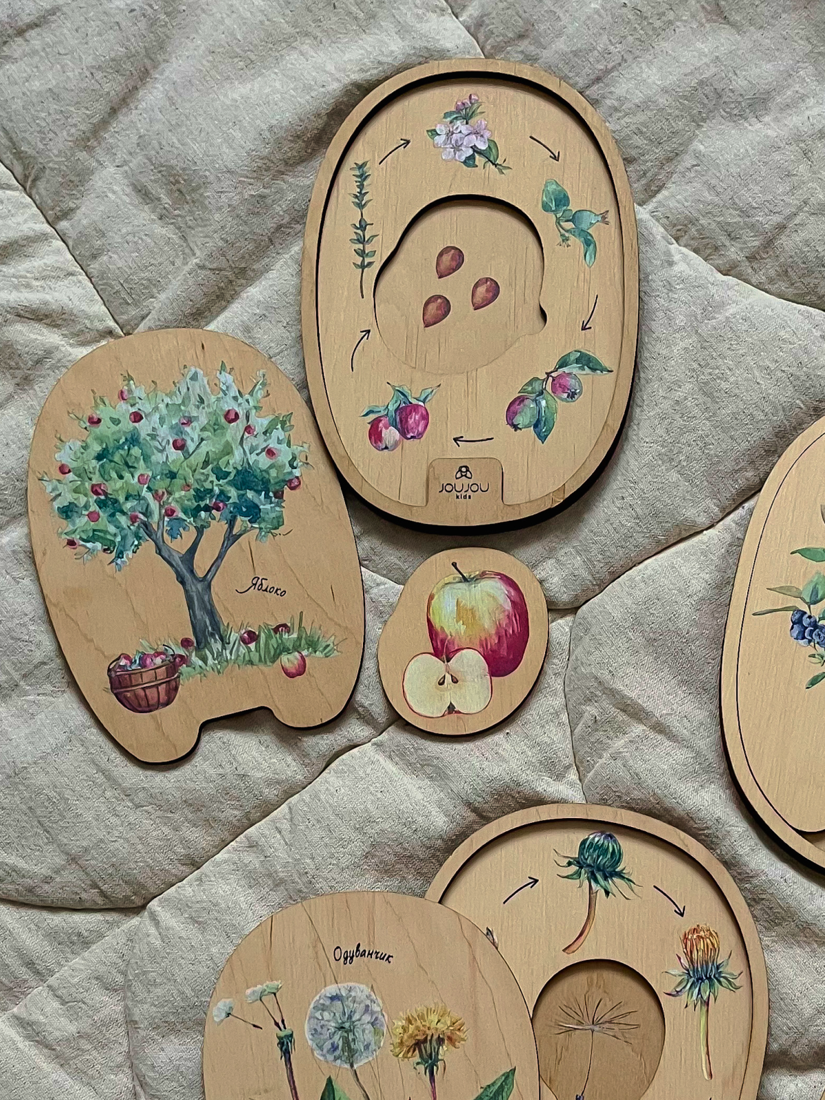 картинка Умняшка-деревяшка «Яблочко» от магазина JOUJOU