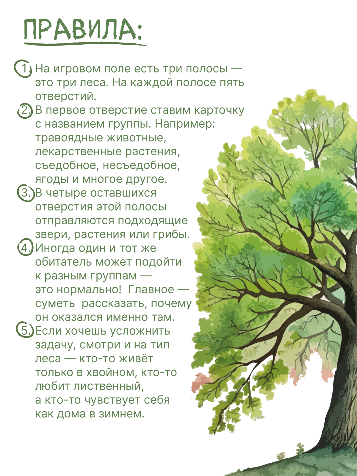 картинка Развивающая игра-лото "Кто живет в лесу? Группируй и разделяй" от магазина JOUJOU