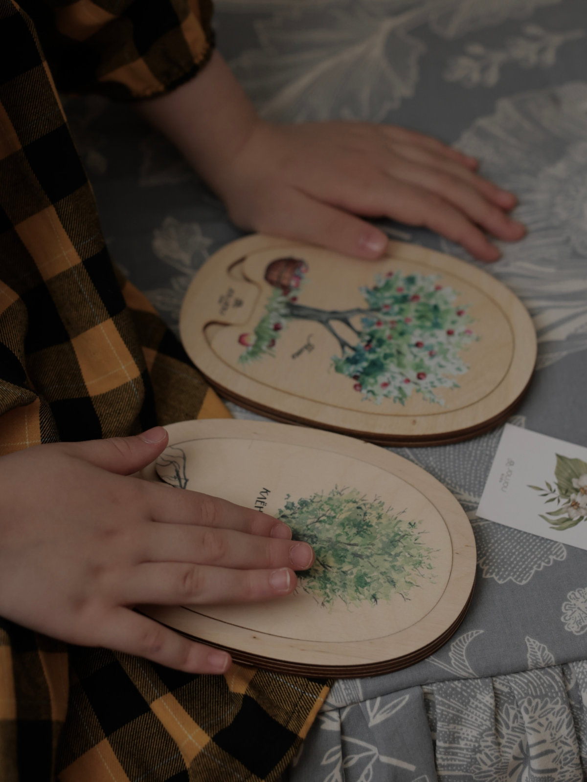 картинка Умняшка-деревяшка «Яблочко» от магазина JOUJOU