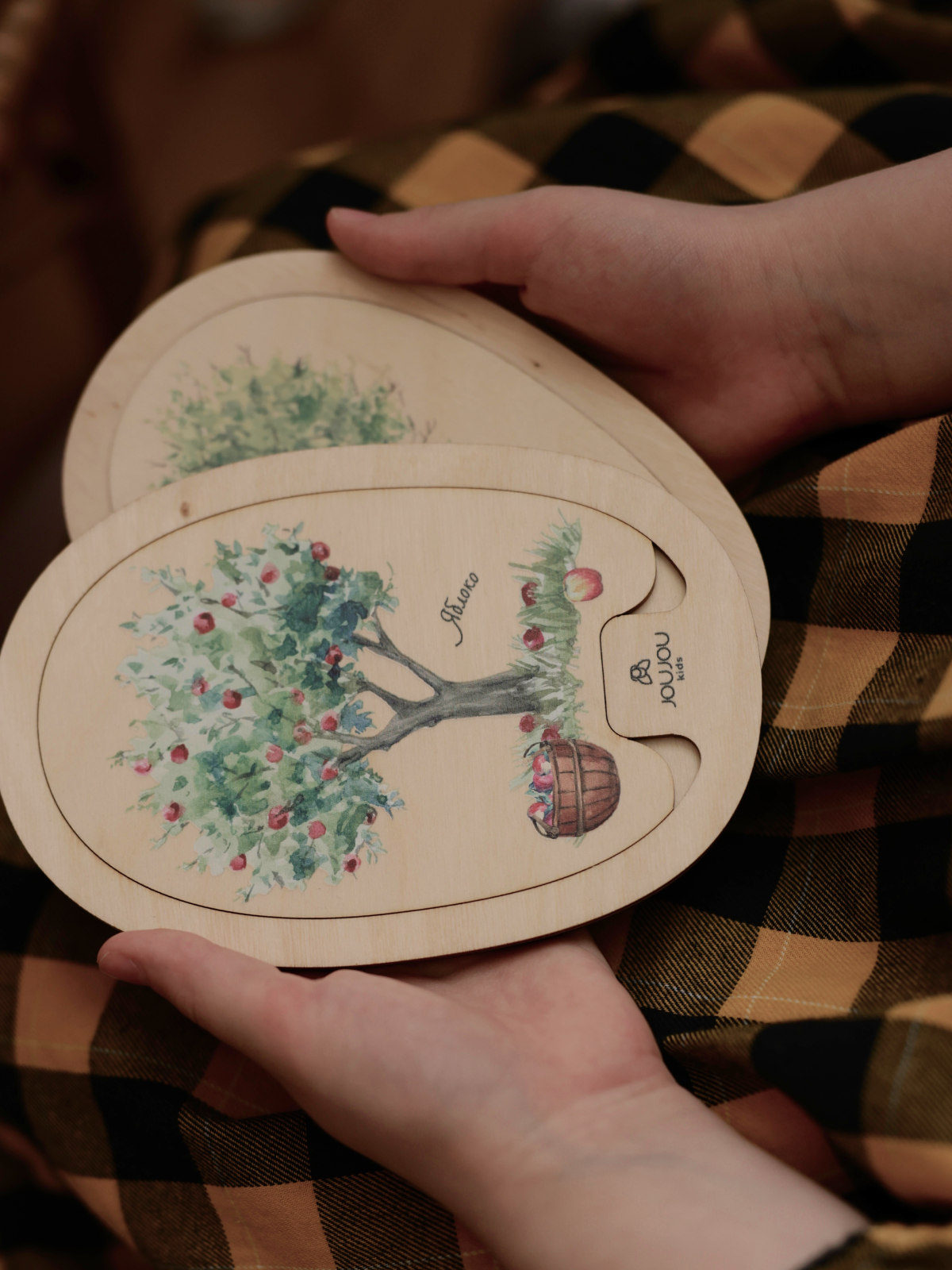 картинка Умняшка-деревяшка «Яблочко» от магазина JOUJOU