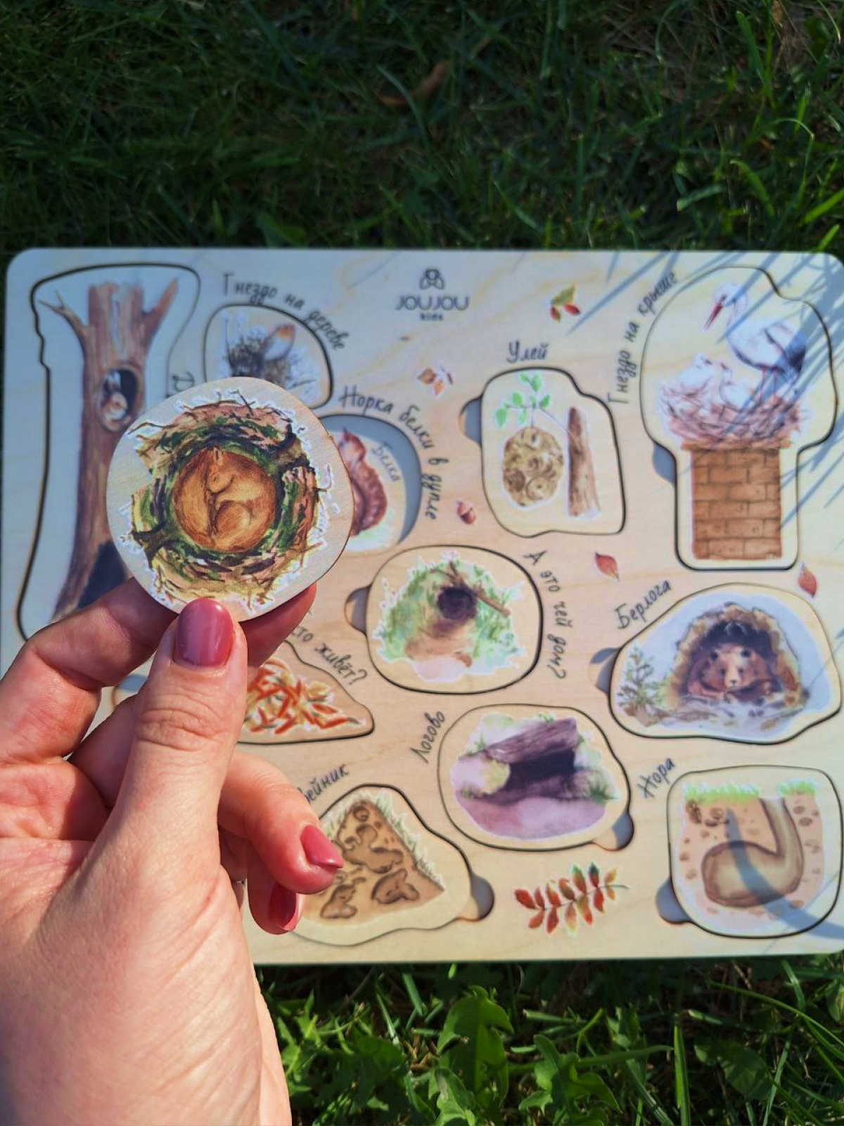 картинка Дидактическая игра "Норки: Где чей домик?" от магазина JOUJOU