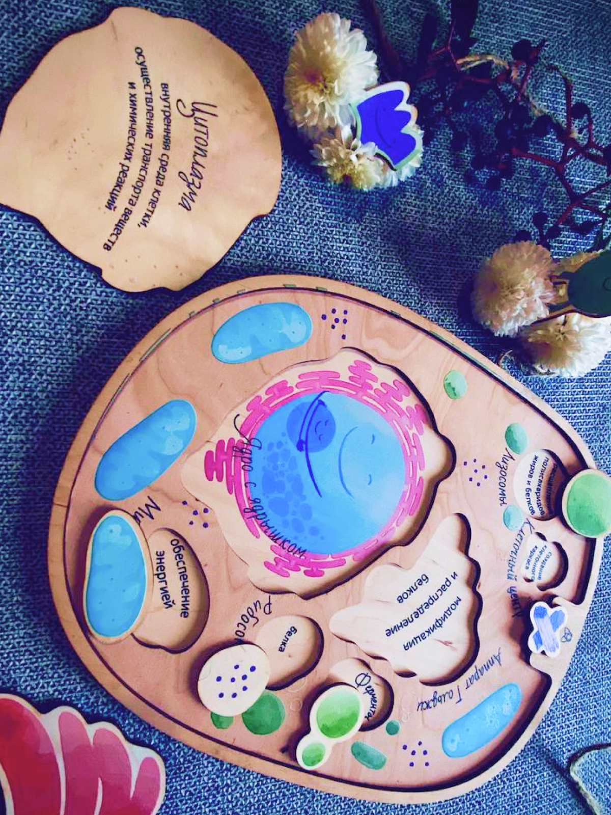 картинка Многоуровневый пазл "Животная клетка" от магазина JOUJOU