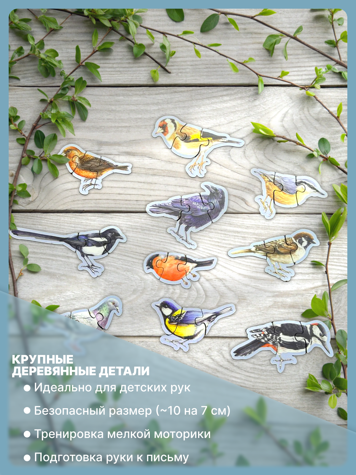 картинка Авторская игра по методике монтессори «Зимующие и перелетные птицы» от магазина JOUJOU
