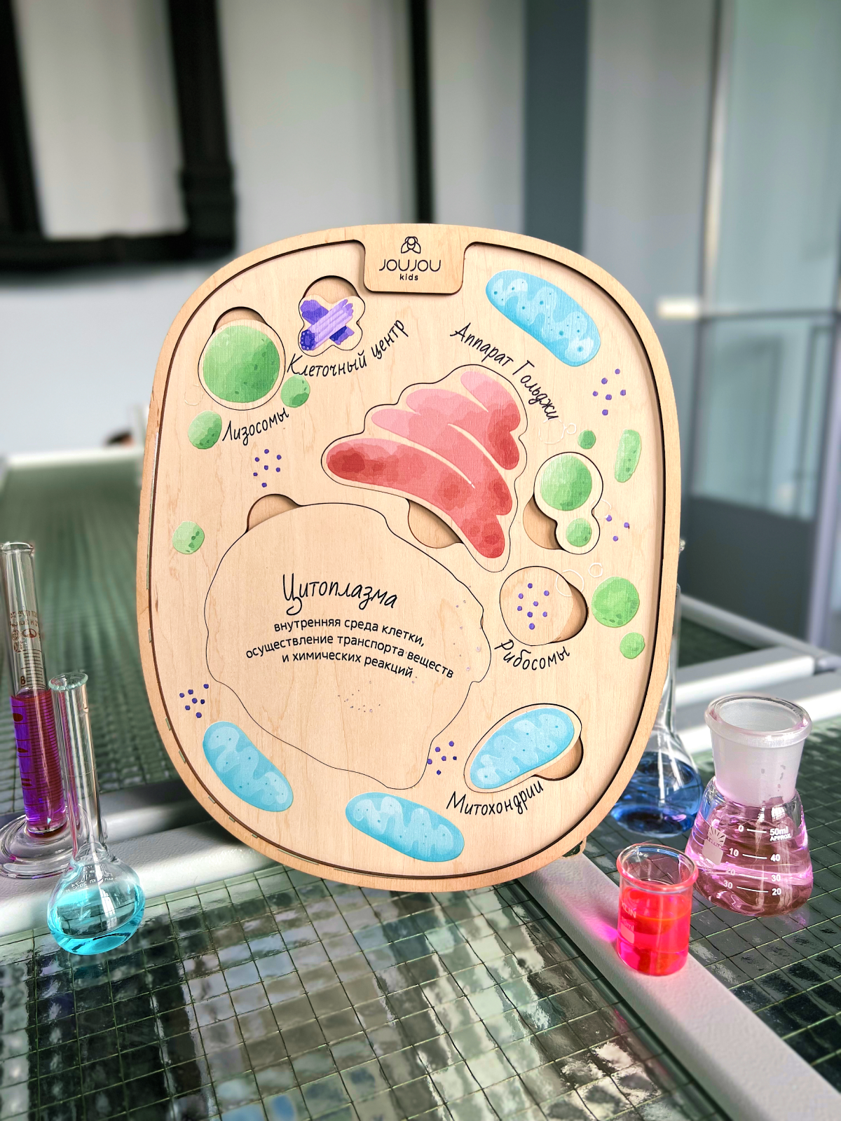 картинка Многоуровневый пазл "Животная клетка" от магазина JOUJOU