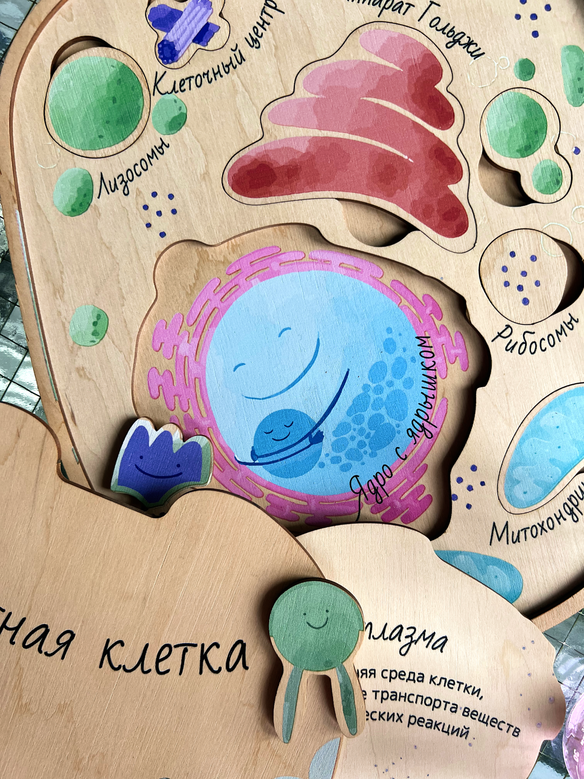 картинка Многоуровневый пазл "Животная клетка" от магазина JOUJOU