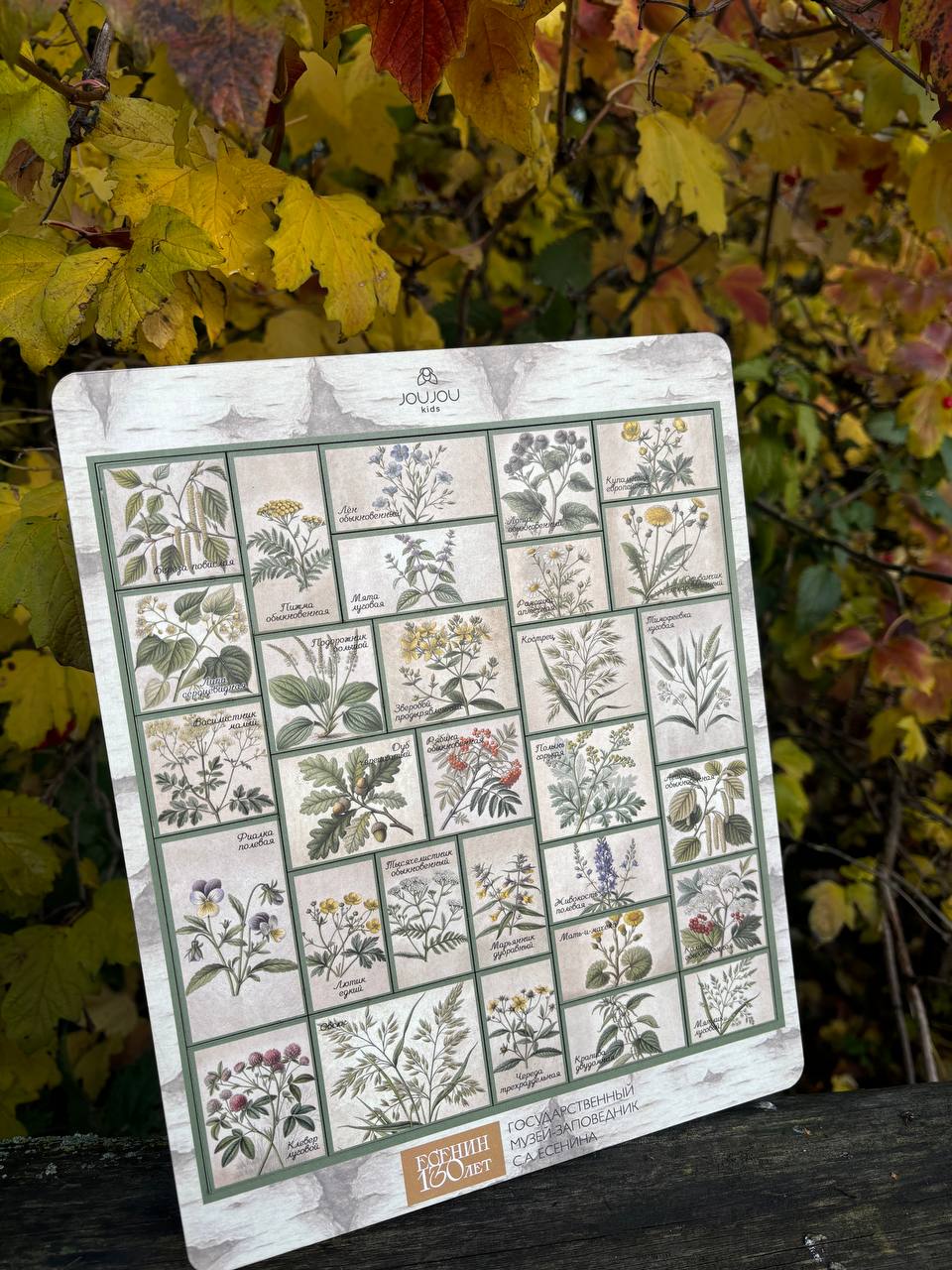 картинка Коллекционный дидактический пазл «Цветы и строки» от магазина JOUJOU