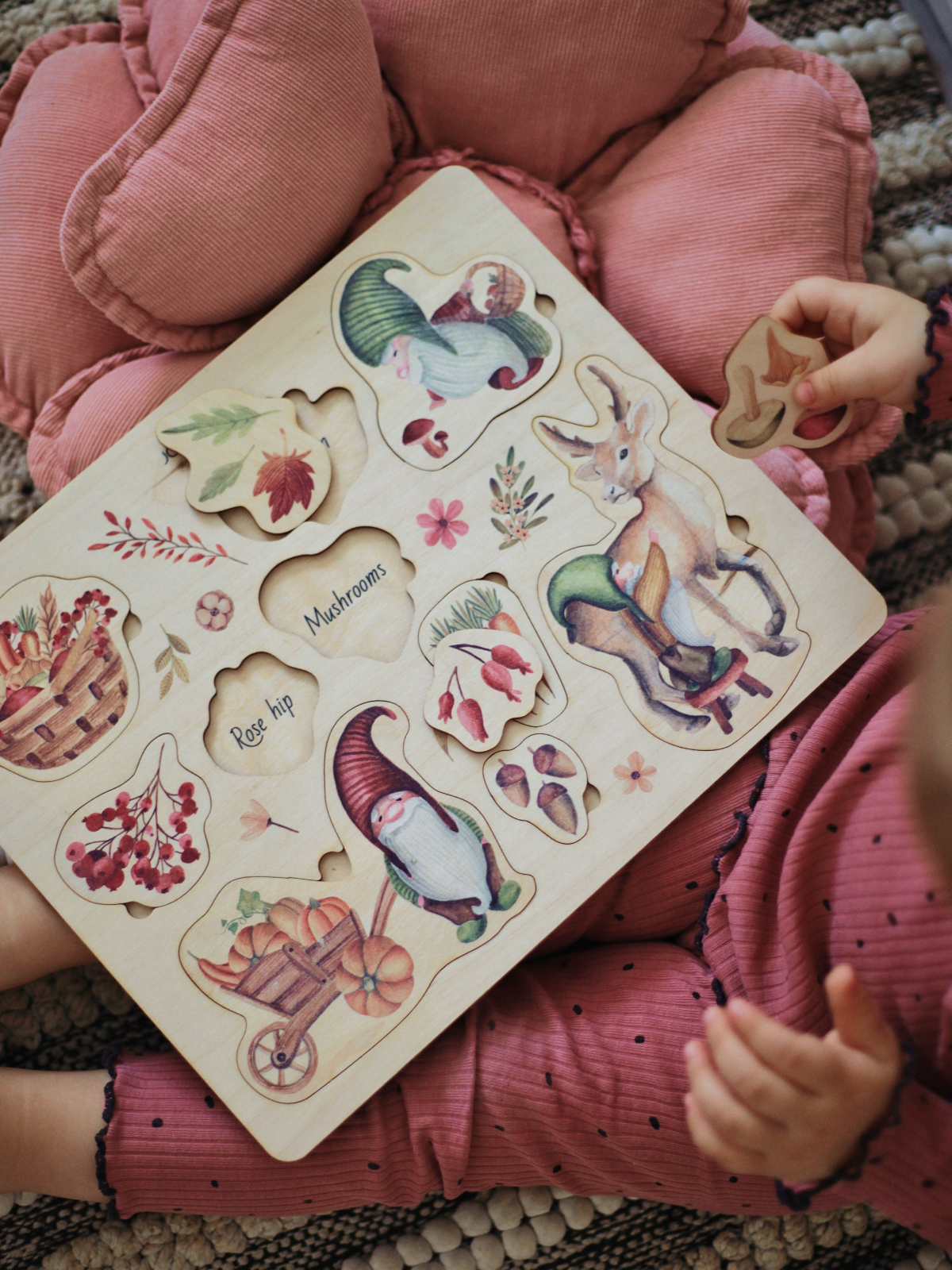 картинка Познавательный пазл «Урожай» из серии Истории умных гномов от магазина JOUJOU