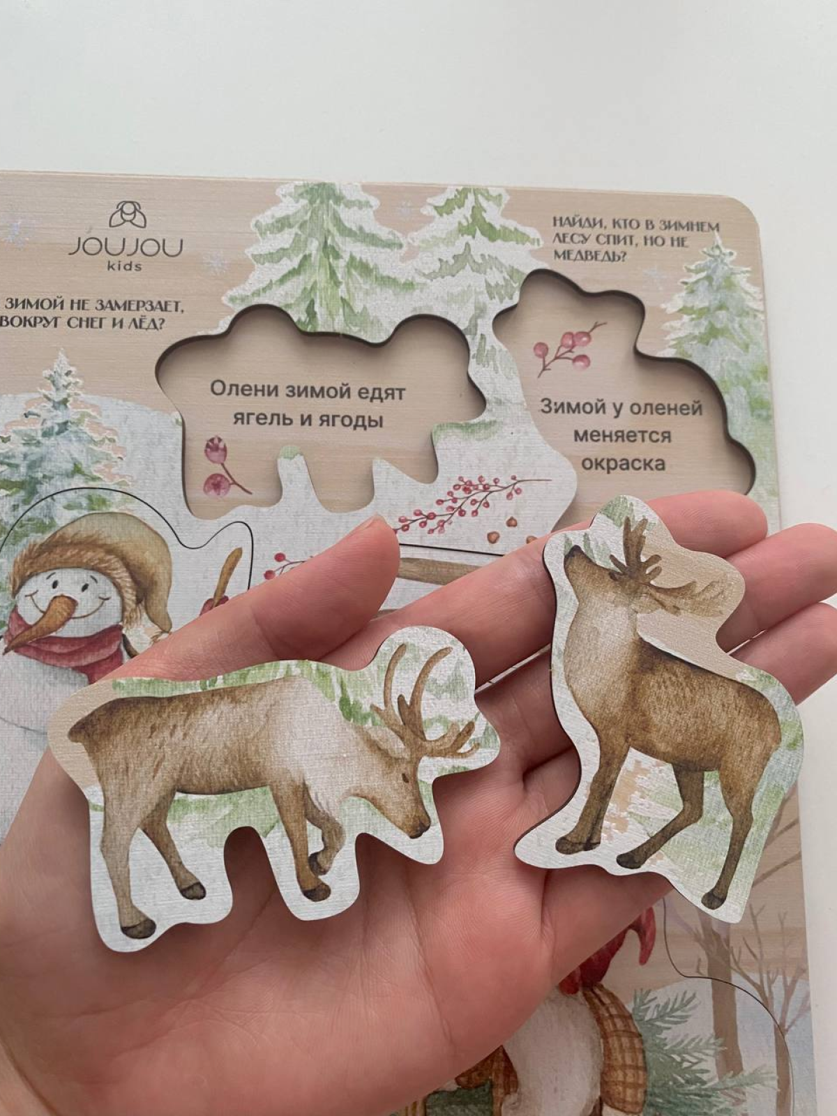 картинка Познавательный пазл «Зимние забавы» из серии Истории умных гномов от магазина JOUJOU