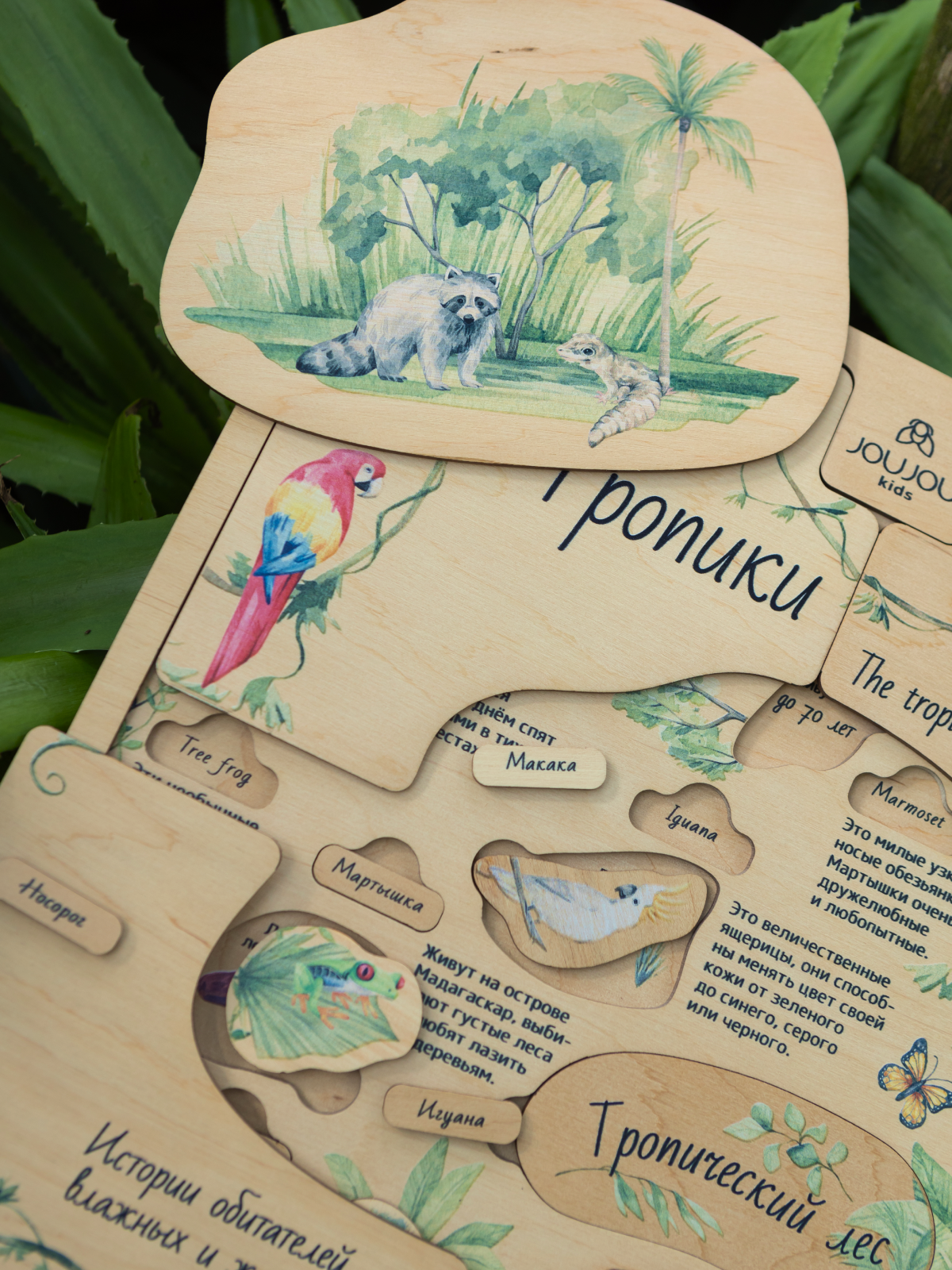 картинка Многоуровневый энциклопедический пазл «Тропики» от магазина JOUJOU