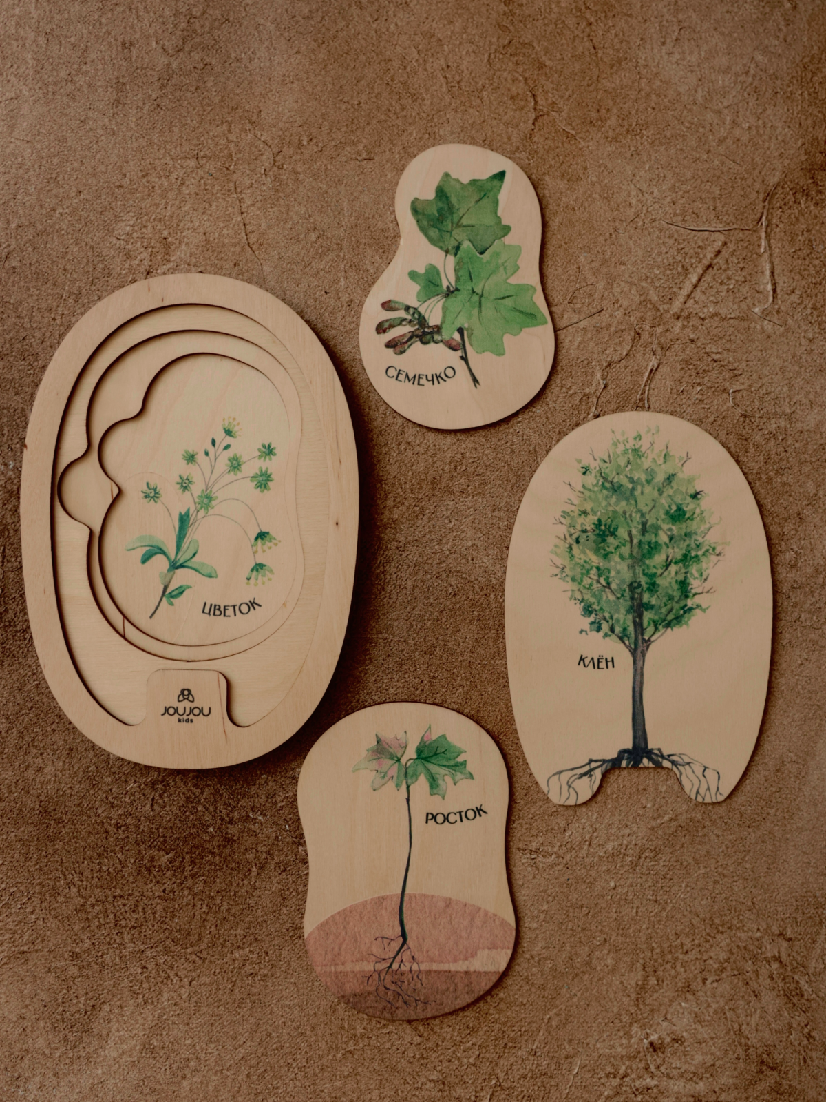 картинка Умняшка-деревяшка "Клен" от магазина JOUJOU