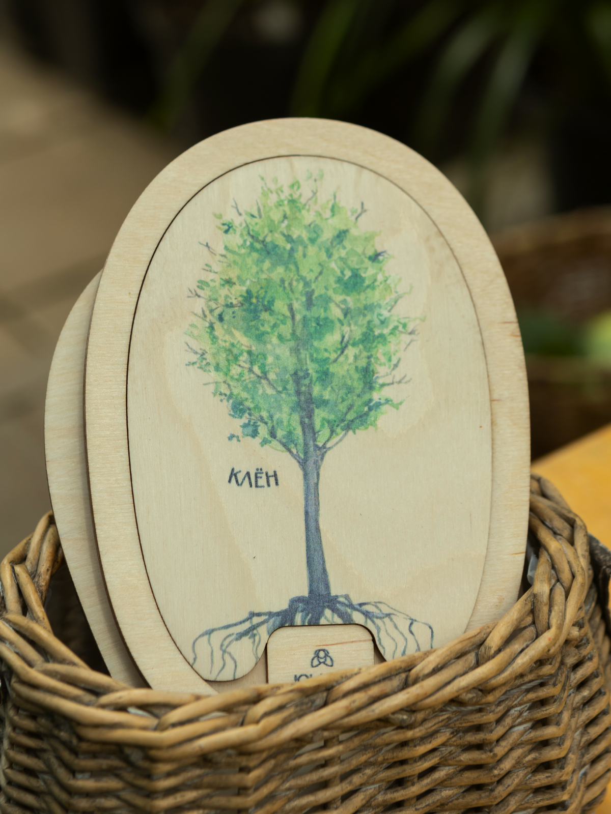 картинка Умняшка-деревяшка "Клен" от магазина JOUJOU