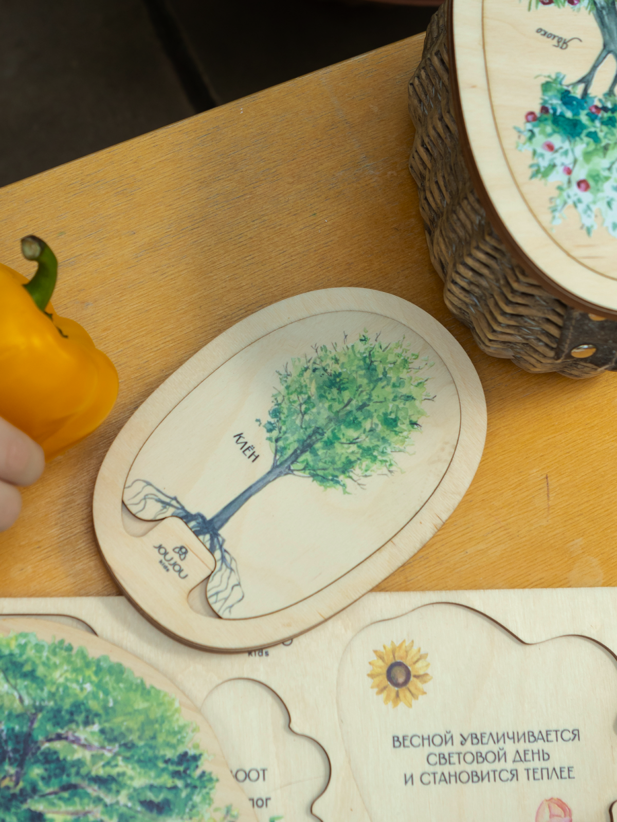 картинка Умняшка-деревяшка "Клен" от магазина JOUJOU