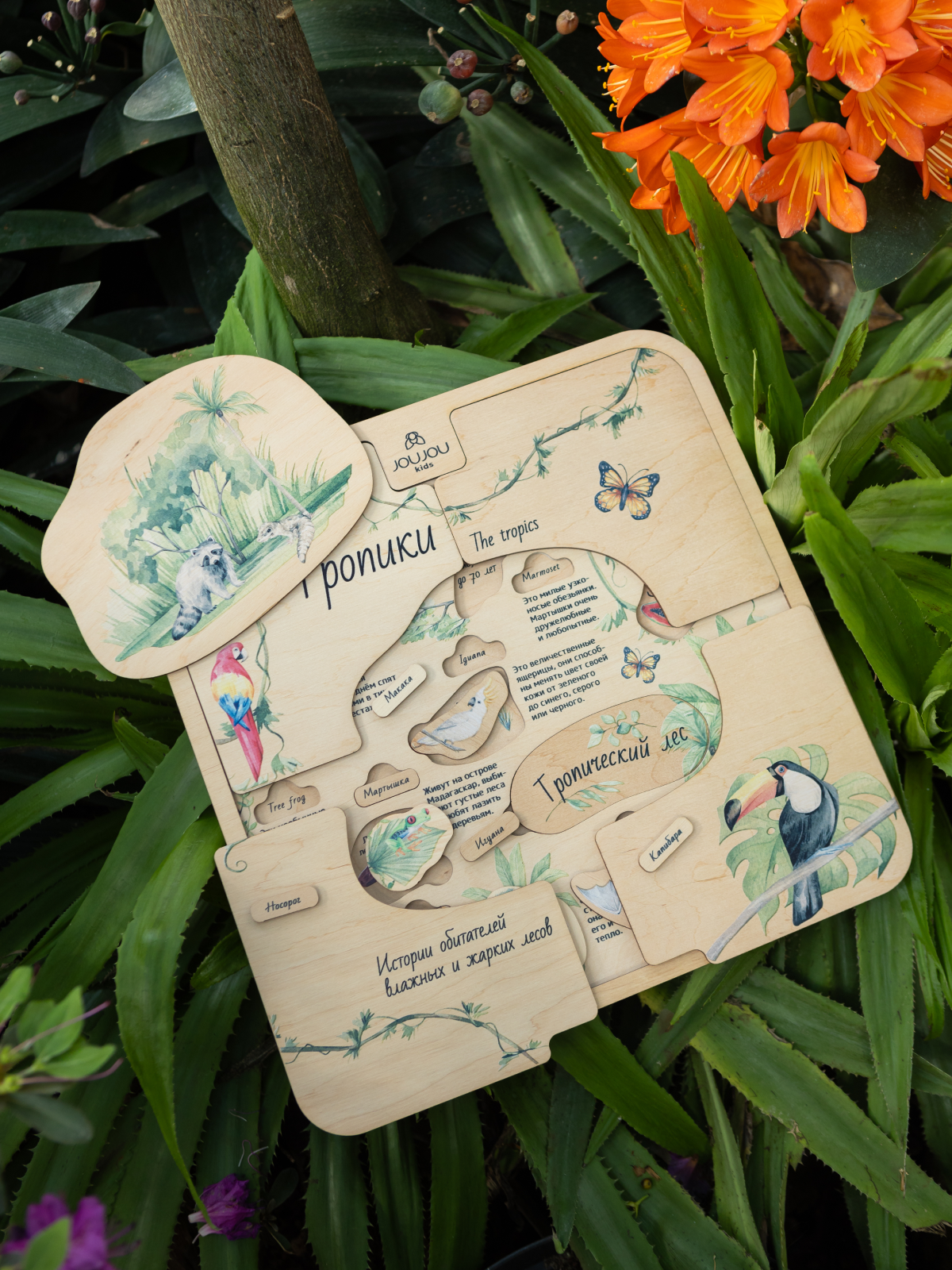 картинка Многоуровневый энциклопедический пазл «Тропики» от магазина JOUJOU