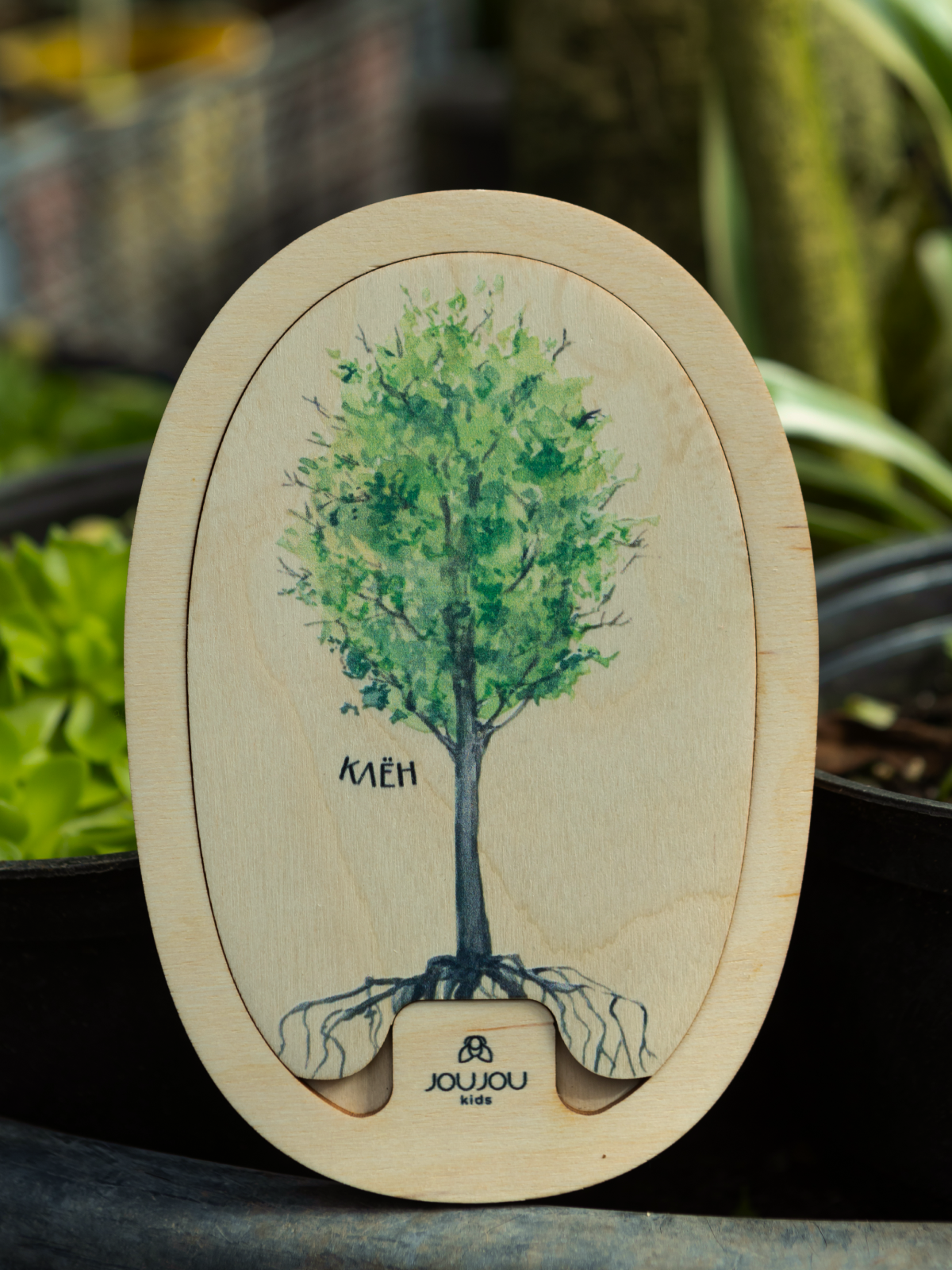 картинка Умняшка-деревяшка "Клен" от магазина JOUJOU